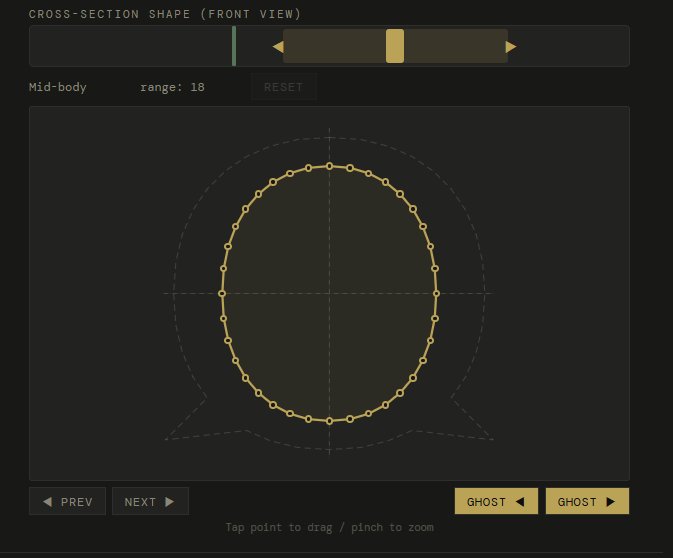 Cross-section shape editor showing front view with control points